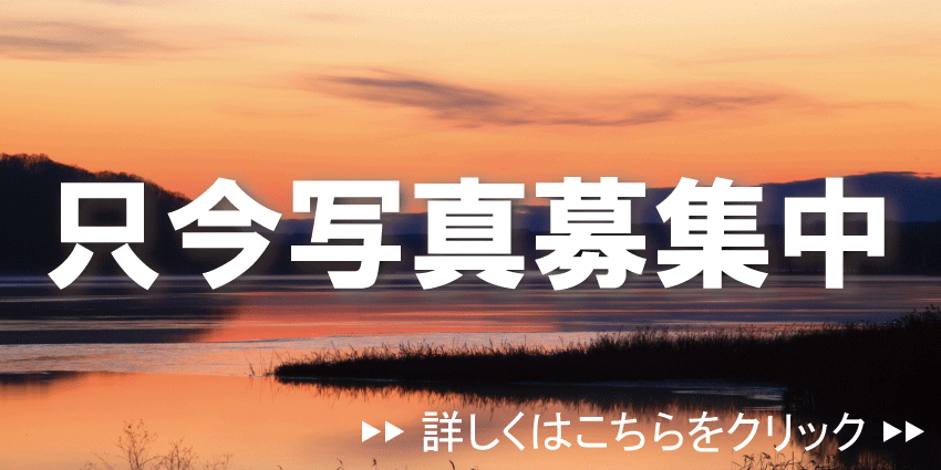 一般投稿募集