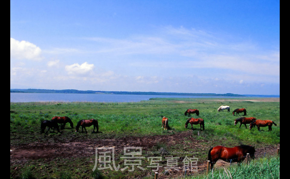 網走市｜網走国定公園　濤沸湖