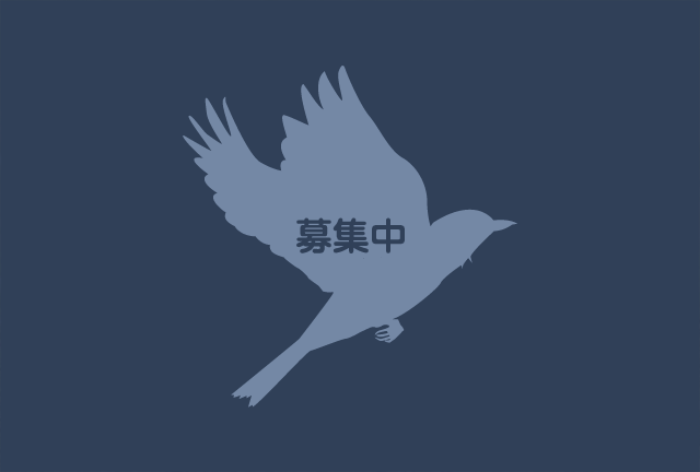 クロハゲワシ クロハゲワシ